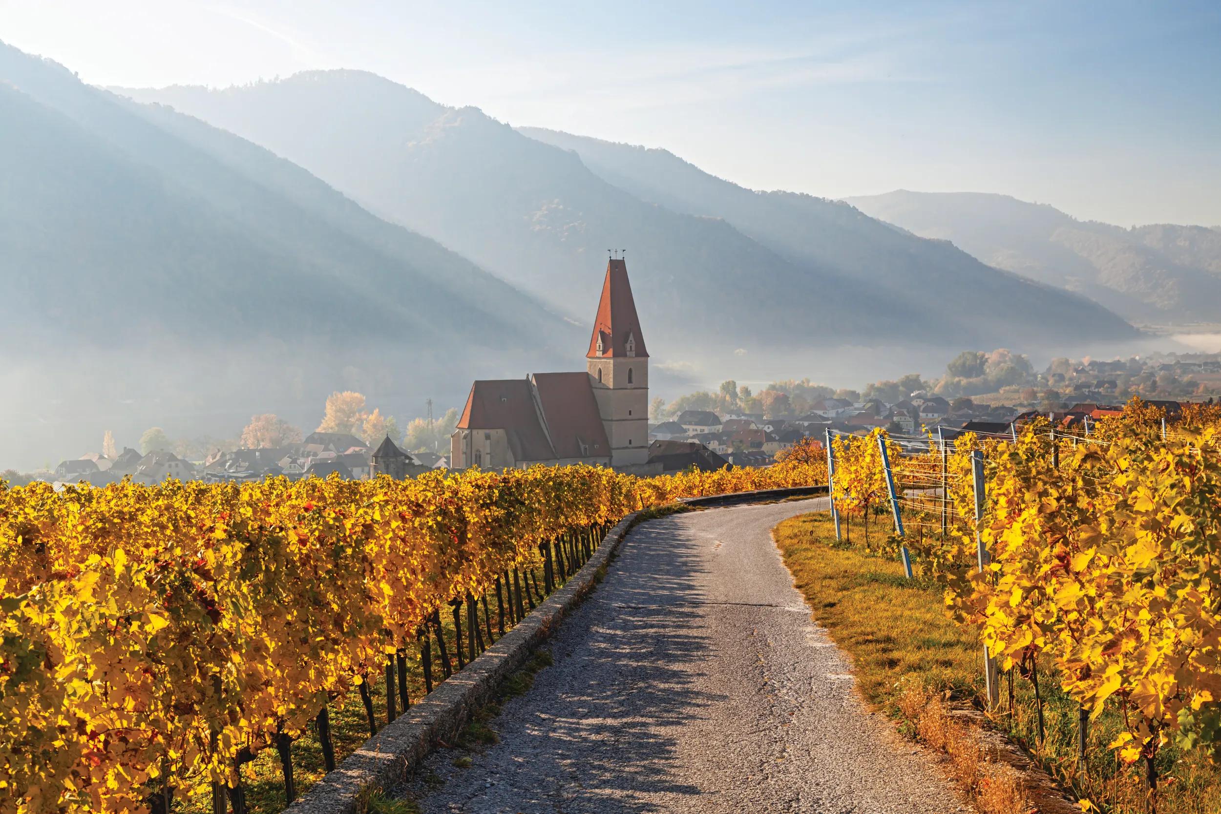 Panorama of Weissenkirchen, Wachau valley, Austria.