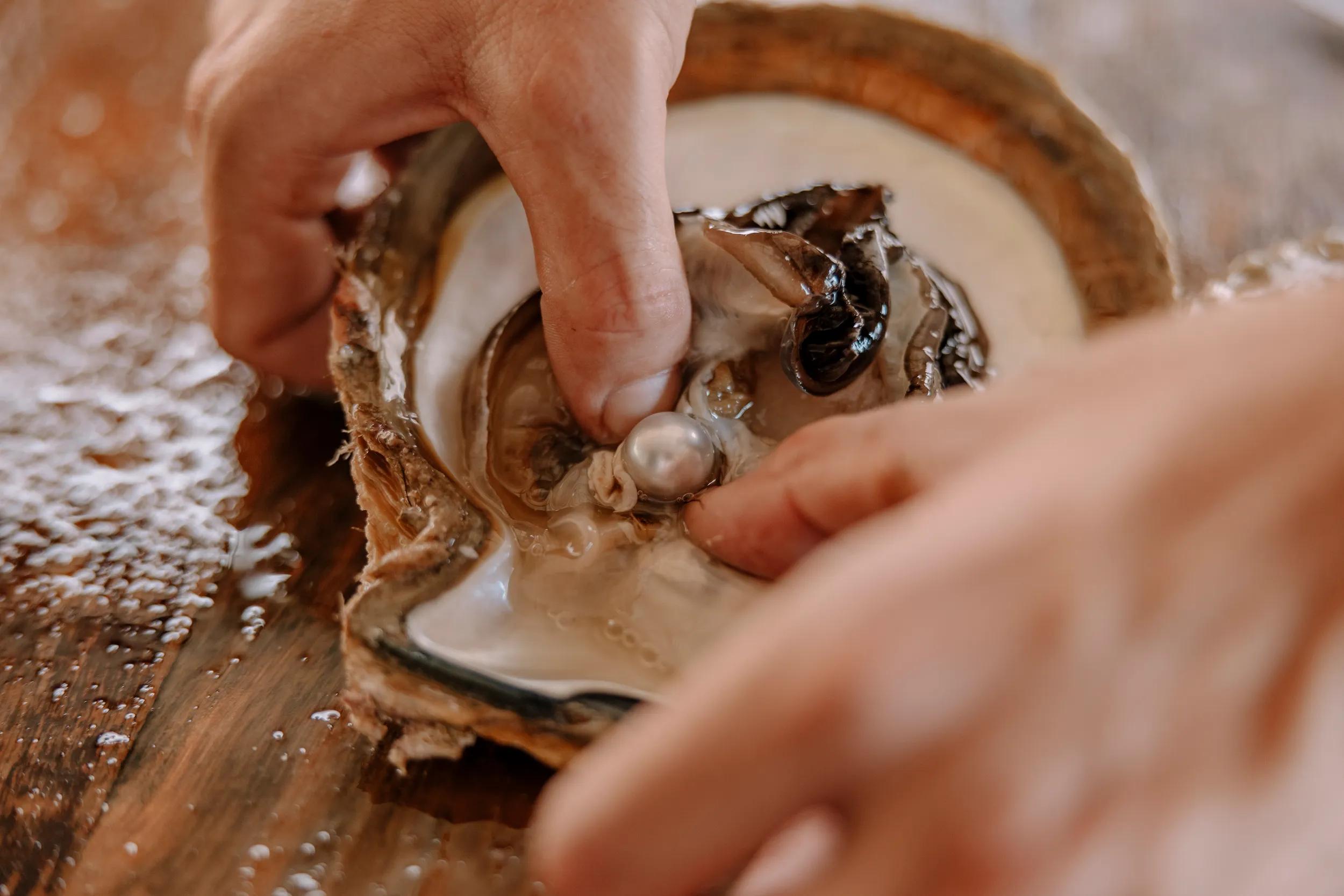 Tours and Accommodation at Cygnet Bay Pearl Farm, Dampier Peninsula