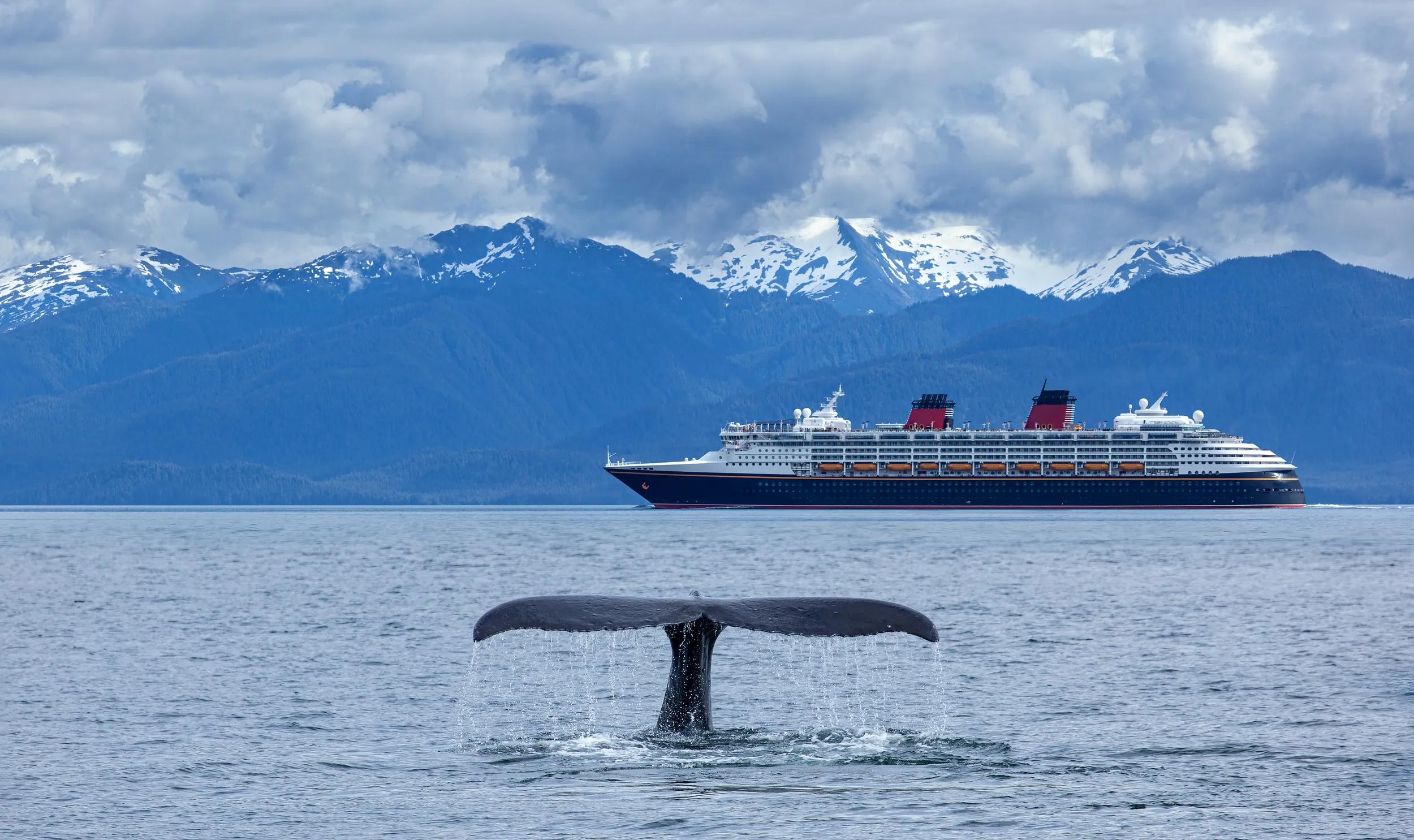 The whale shows the tail    on  cruise  liner and     snow mountains   background, Alaska, the USA