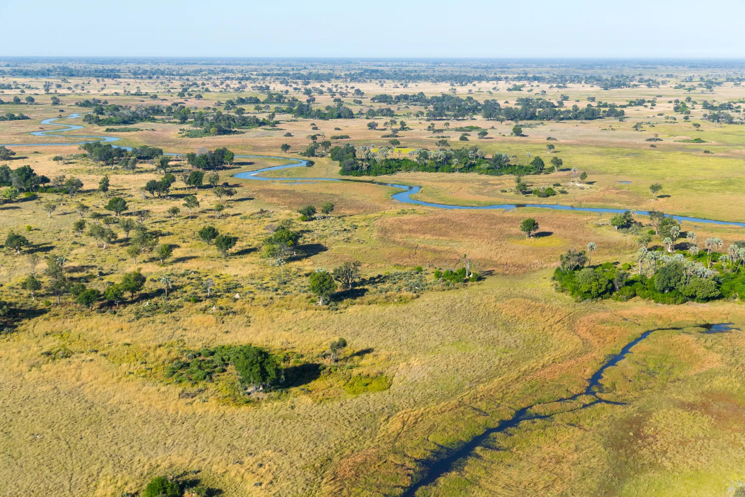 Aerial View over Okavango Delta