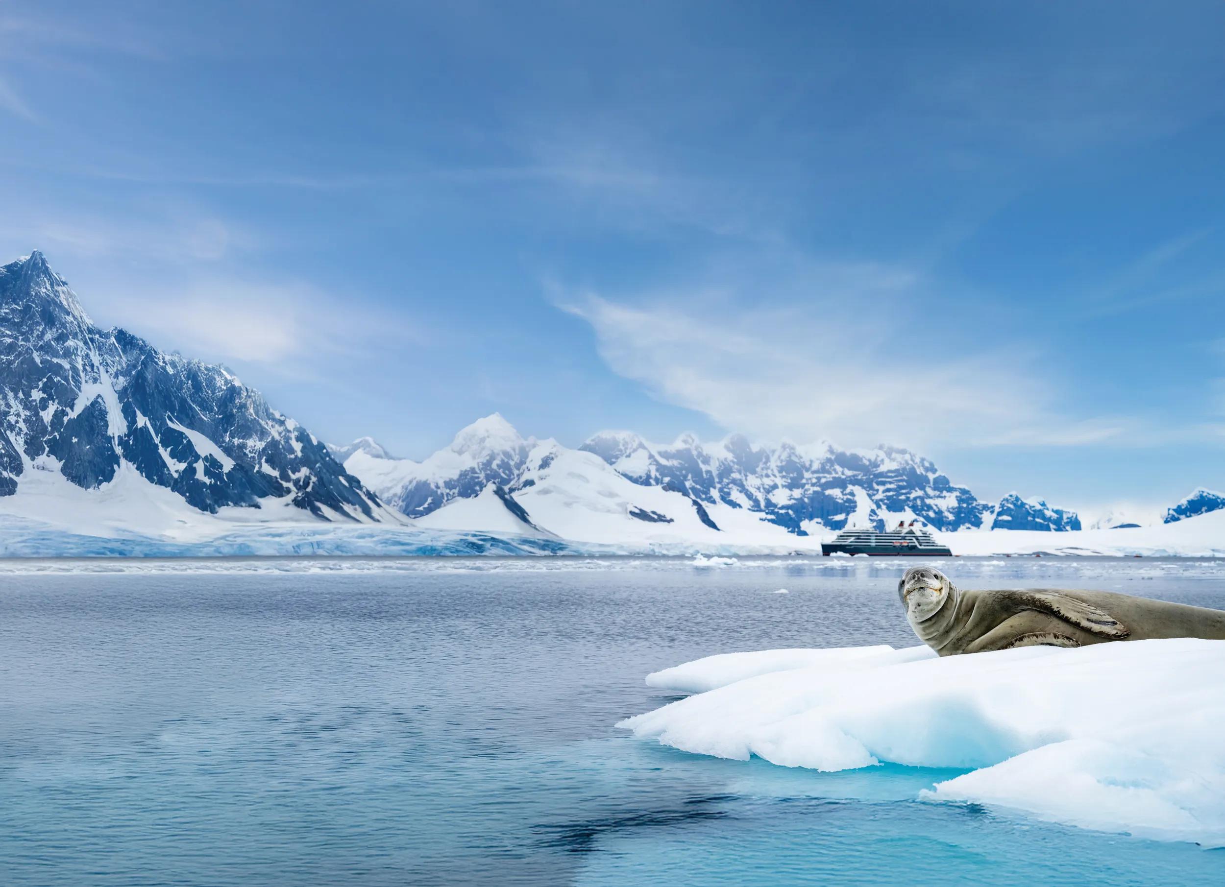 Leopard Seal and Seabourn Venture ship in Antarctica