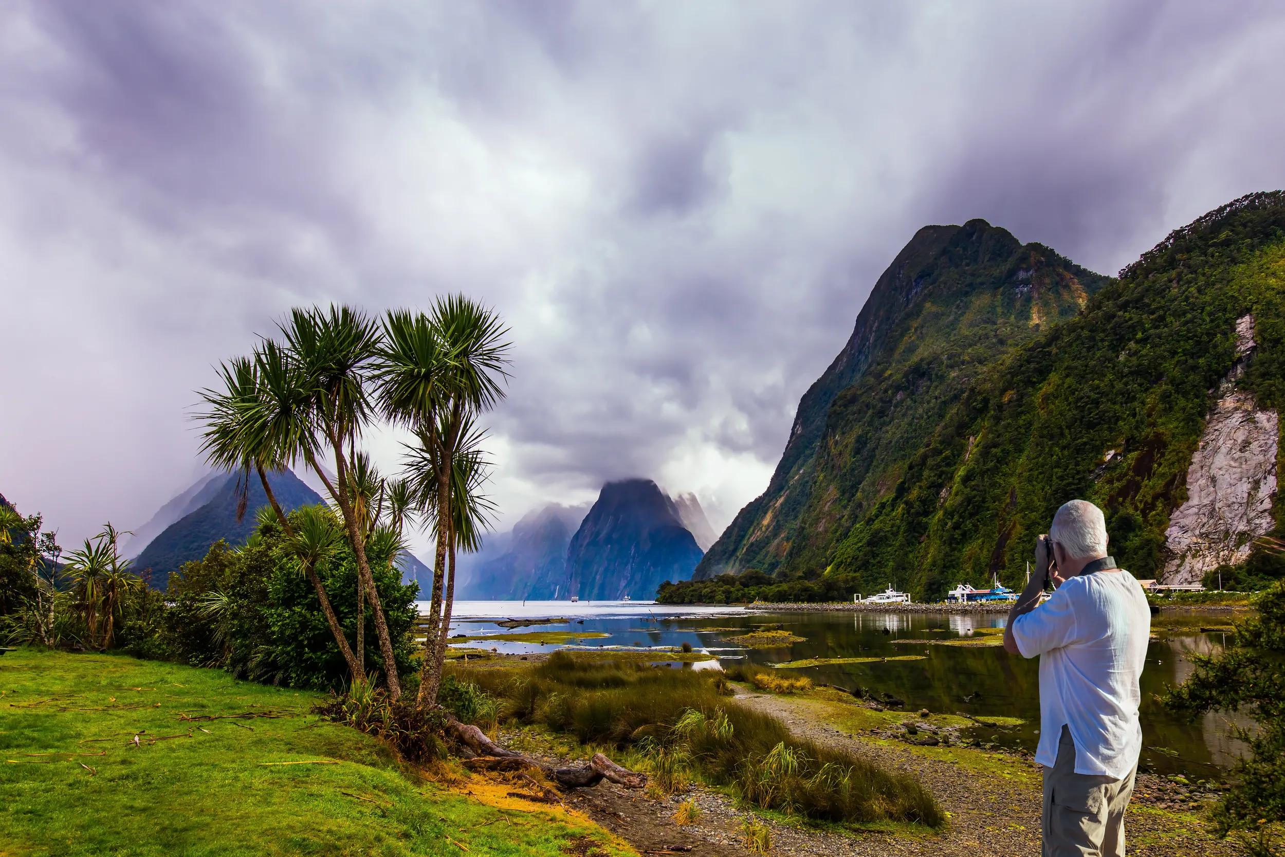 Shallow, overgrown marsh grass coast of the fjord Milford Sound. The gray-haired tourist photographs a picturesque landscape. Concept of active and photographic tourism.
