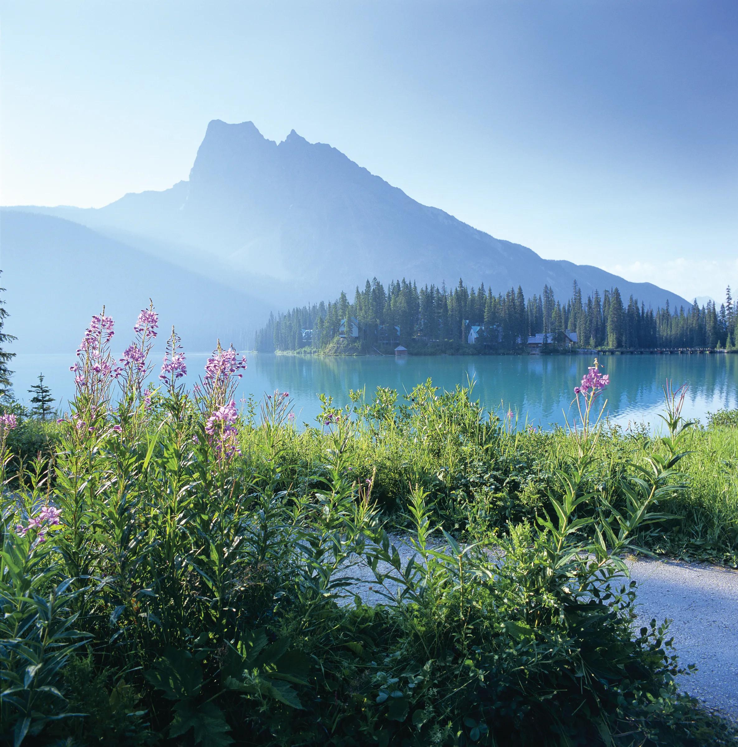 PLEASE NOTE: Only for use in conjunction with Emerald Lake Lodge.