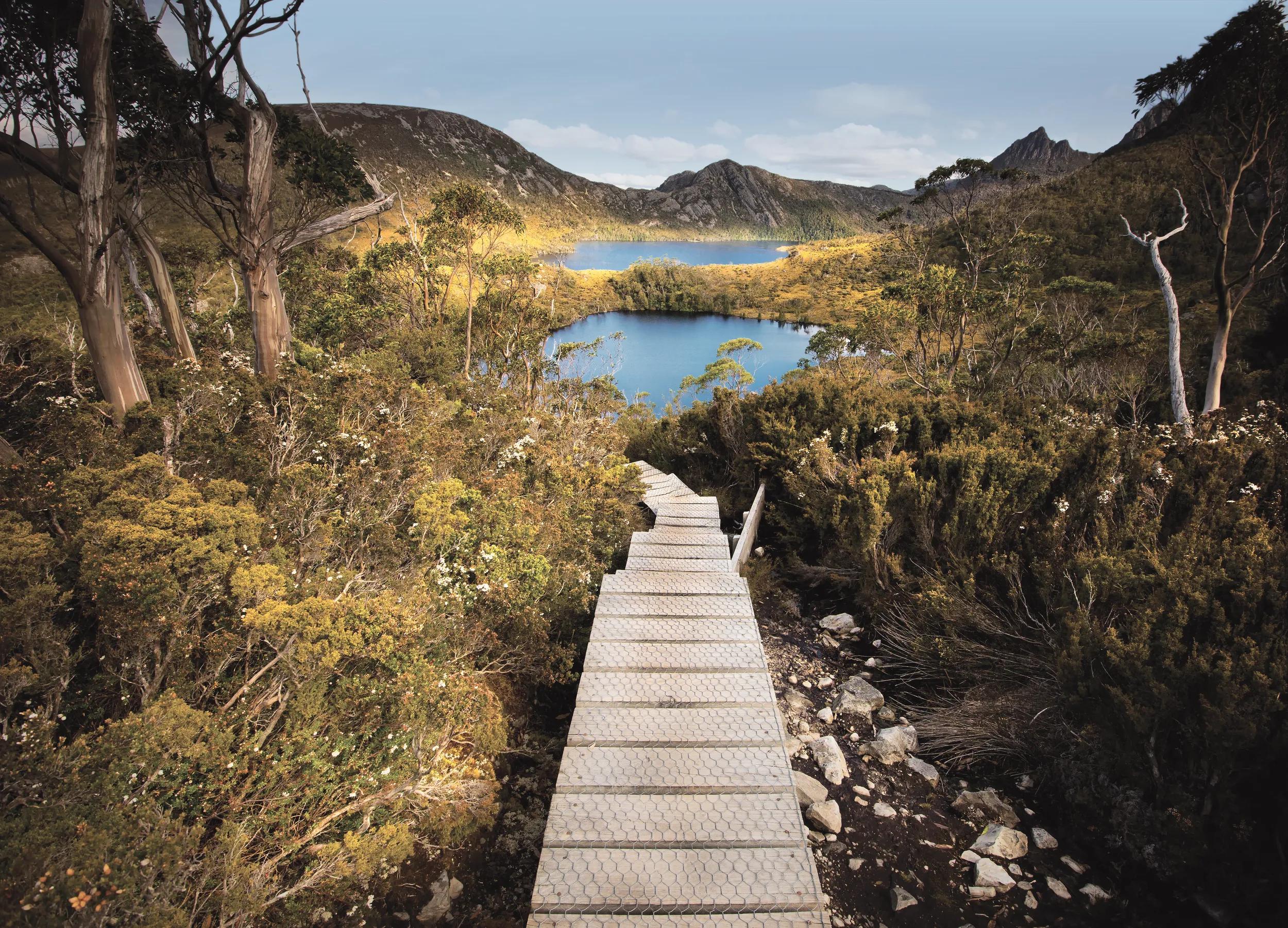 view cradle mountain, cradle mountain,tasmania