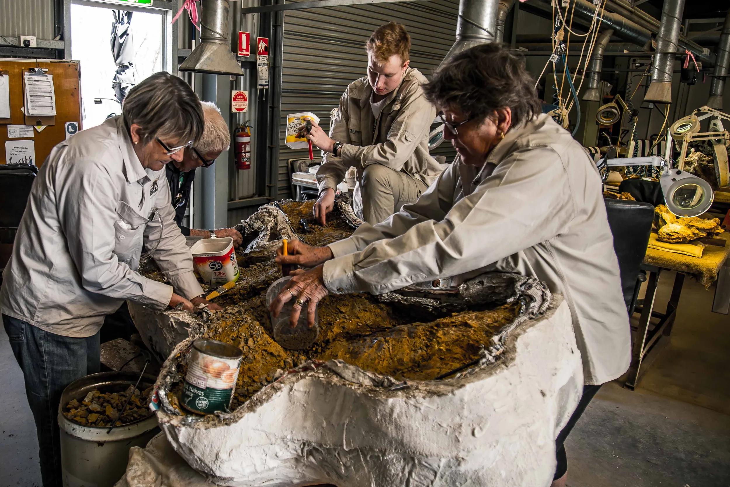 Volunteers Bev Gordon, Michael Brock, Will Bainbridge and Margaret Sloan preparing a dinosaur fossil for display.