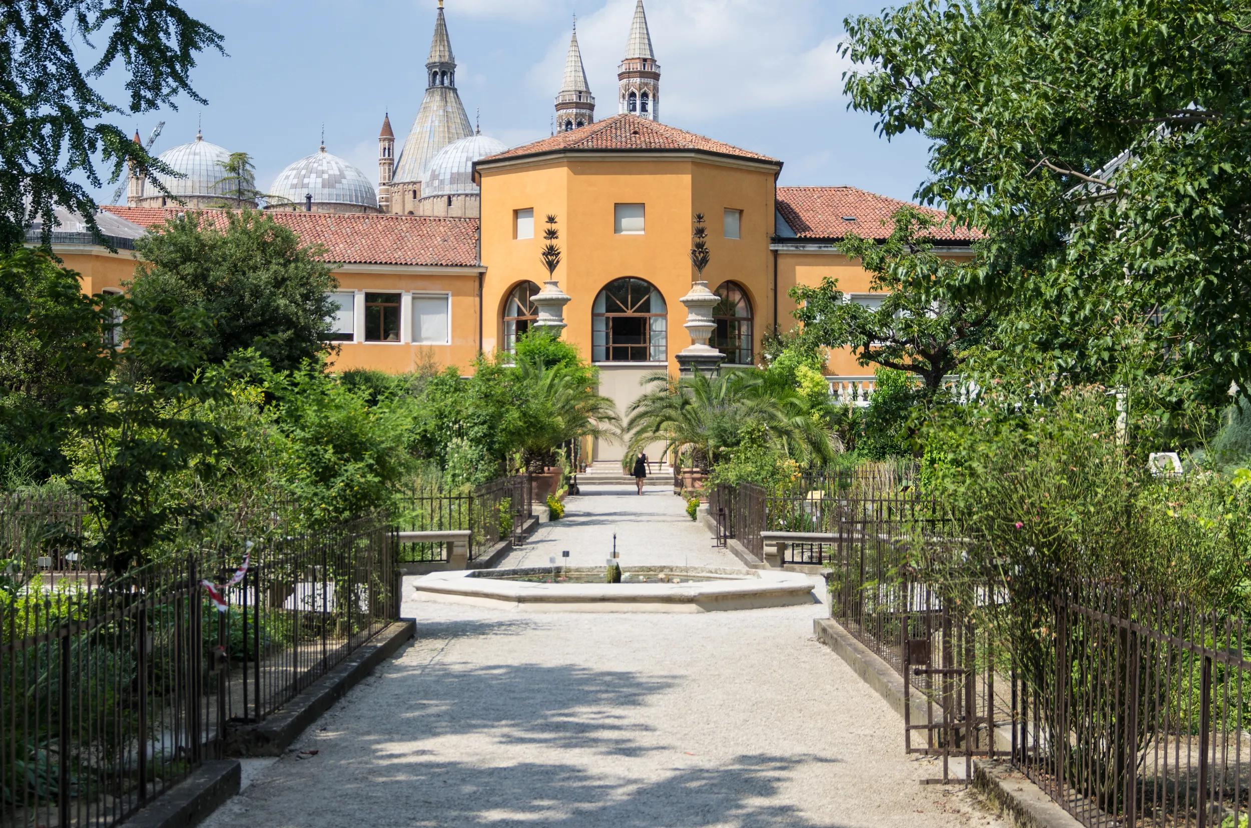 The garden, affiliated with the University of Padua