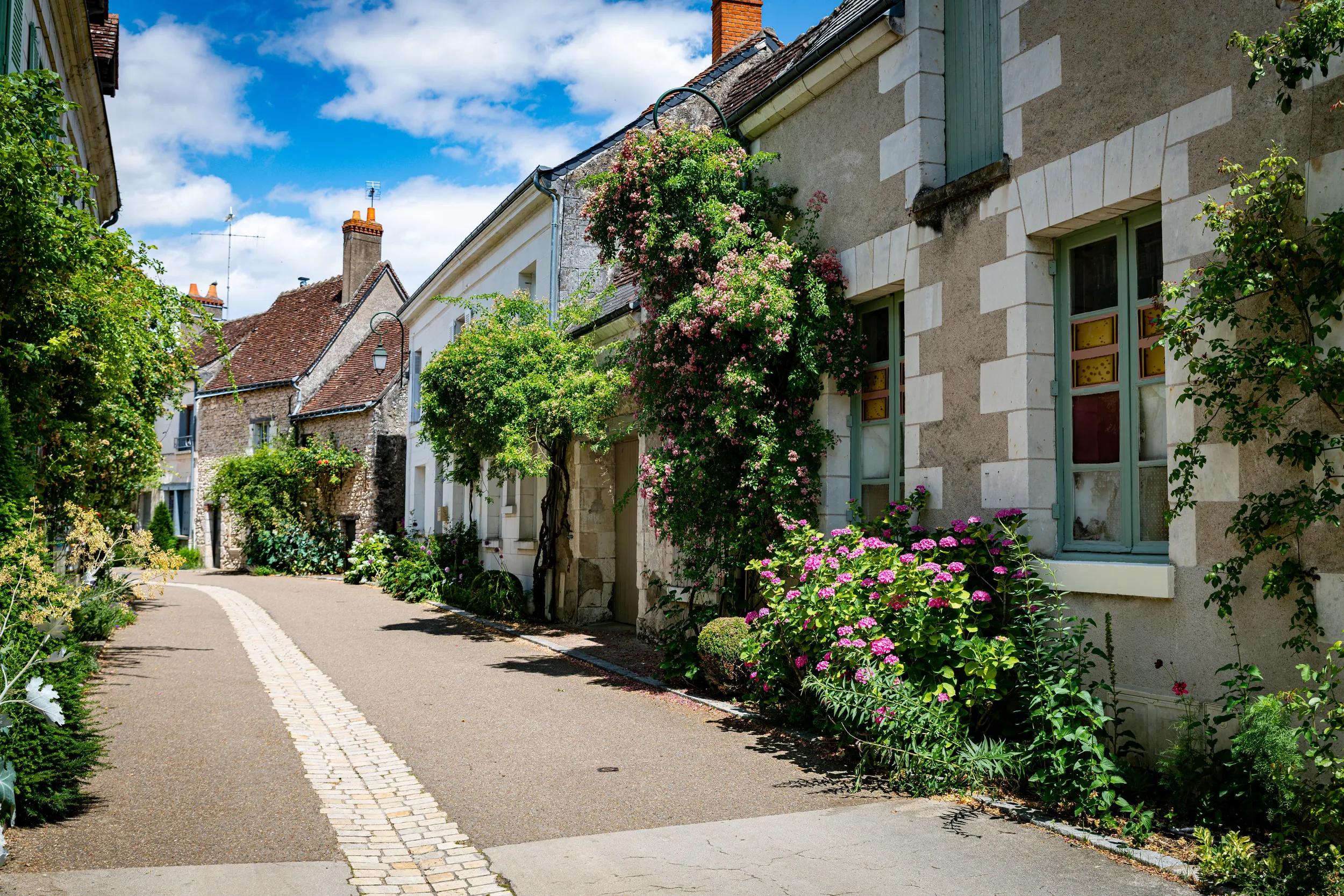 old houses in the picturesque village of Chedigny in the Loire Valley, central France. The village has been turned into a giant garden bursting with colour