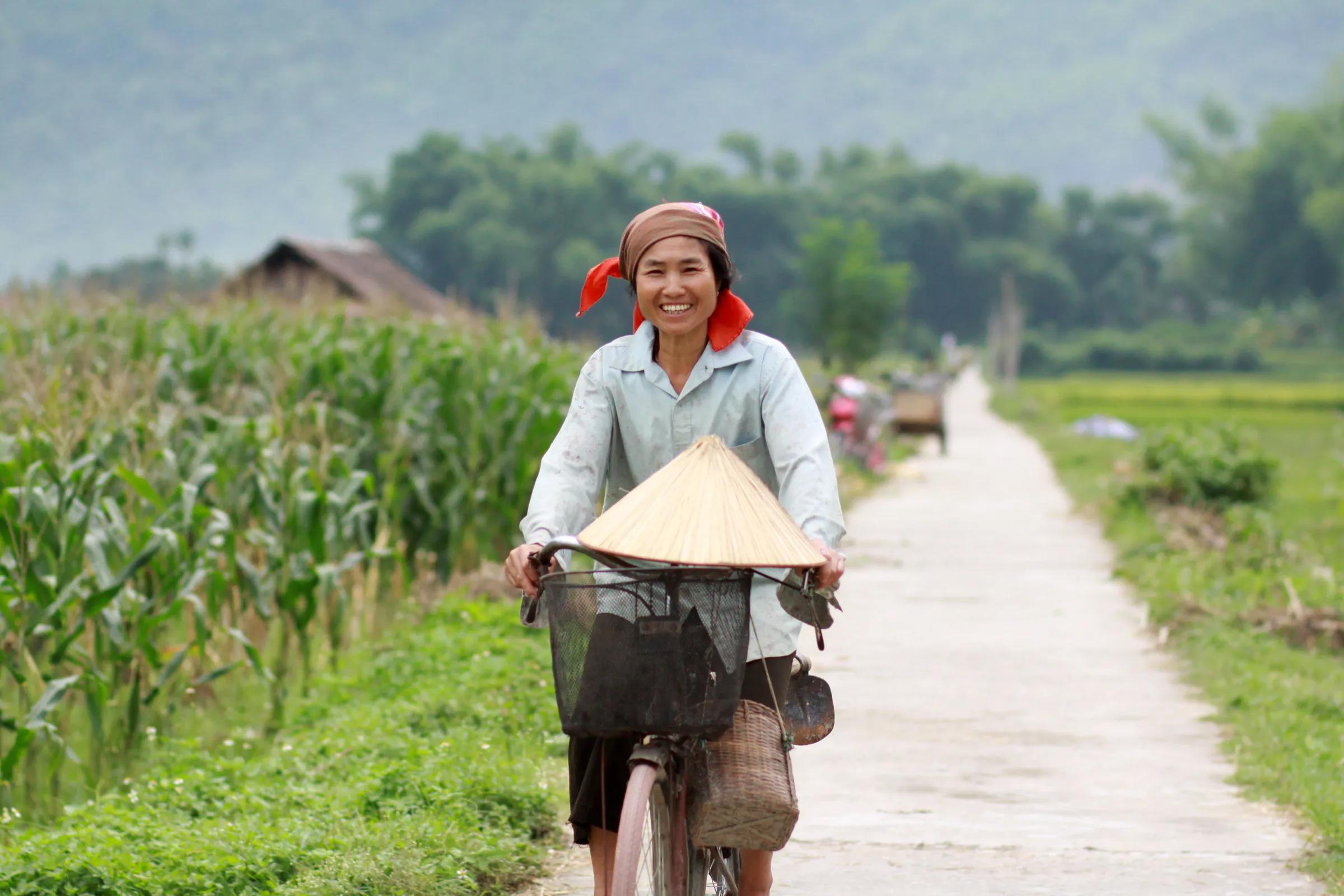 Working in rice and corn farm, riding home after work, traditional Thai woman in Lac village, Mai Chau, Hoa Binh, Vietnam. 2012