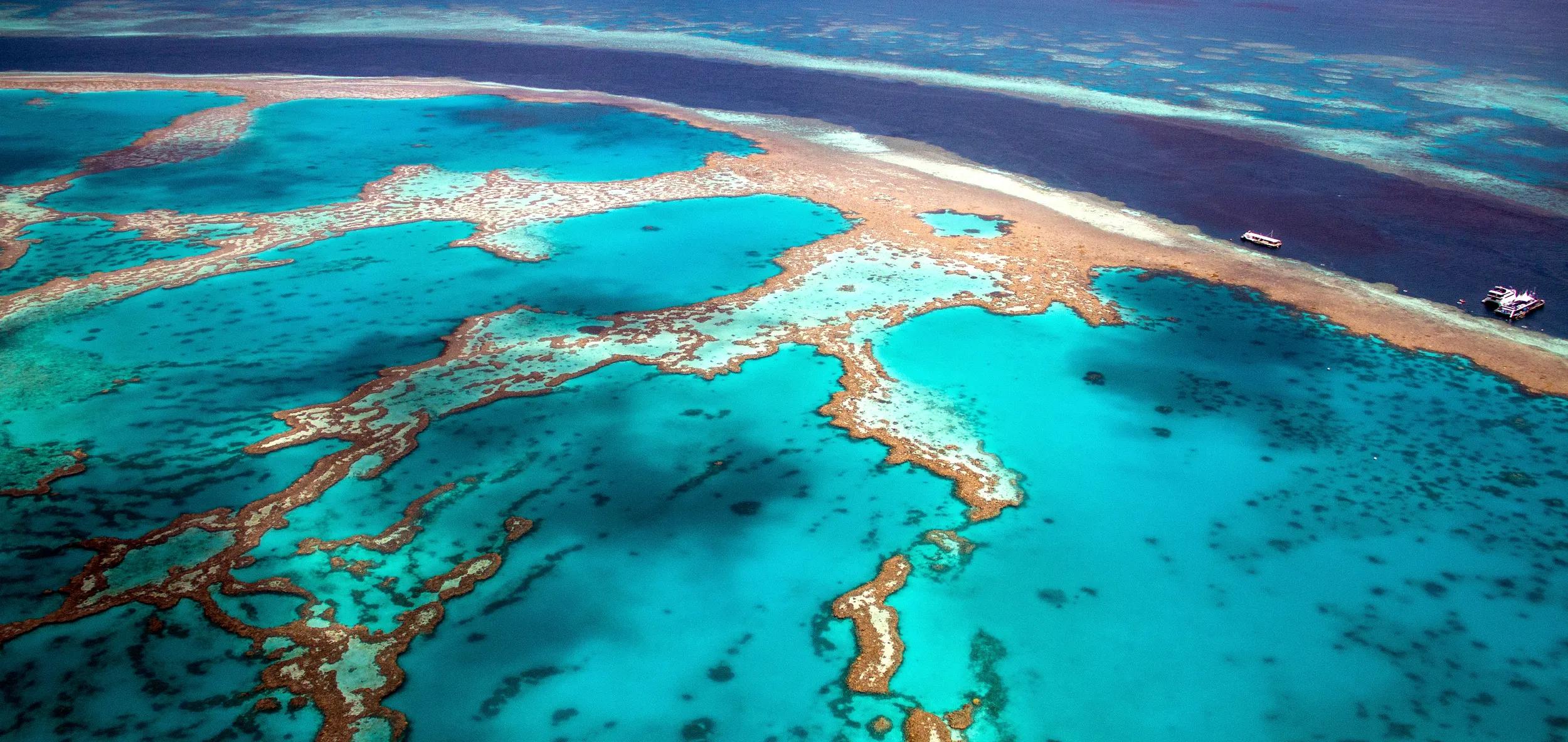 The Great Barrier Reef at low tide
