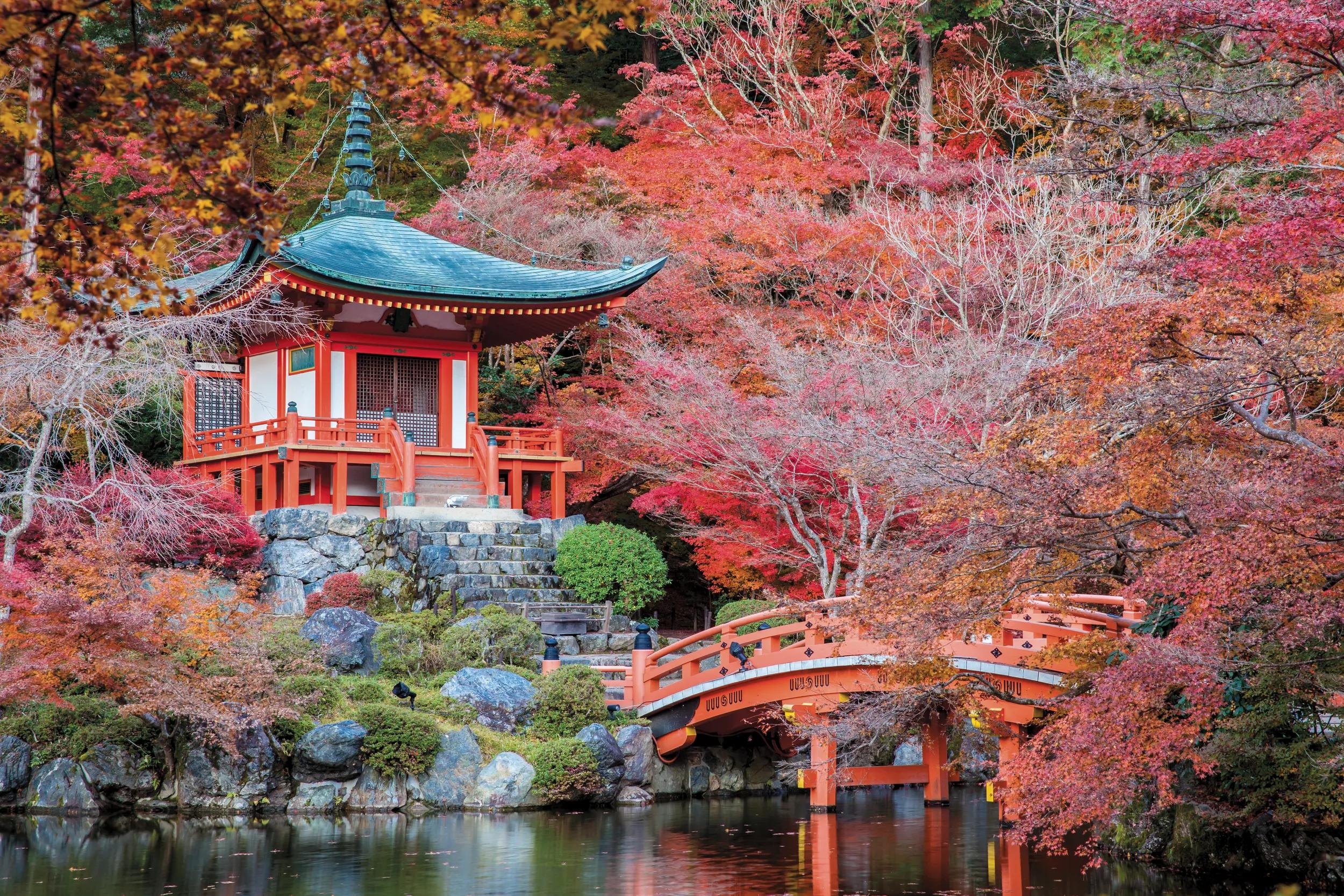 Autumn season,The leave change color of red in Temple japan.