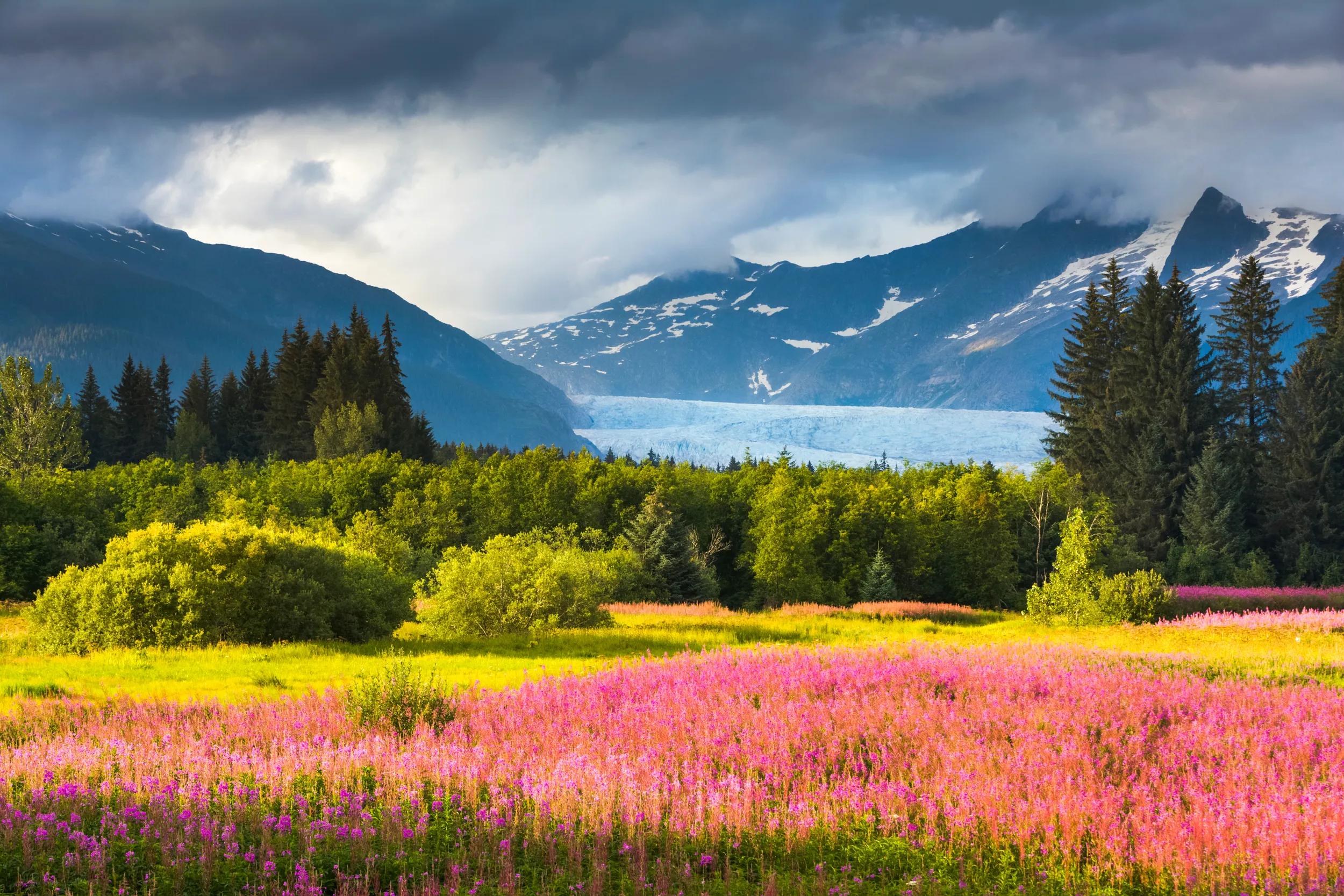 Coast Mountains, Brotherhood Park, Juneau, Alaska.
