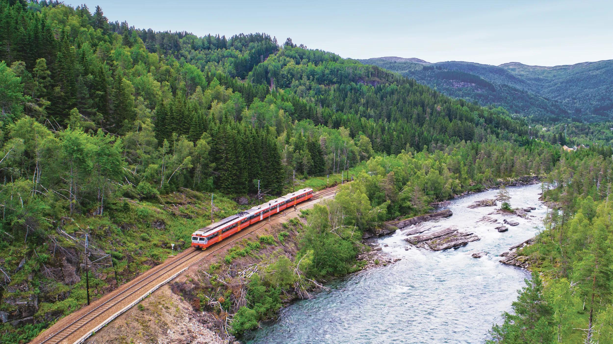 Train Oslo - Bergen in mountains. Norway.