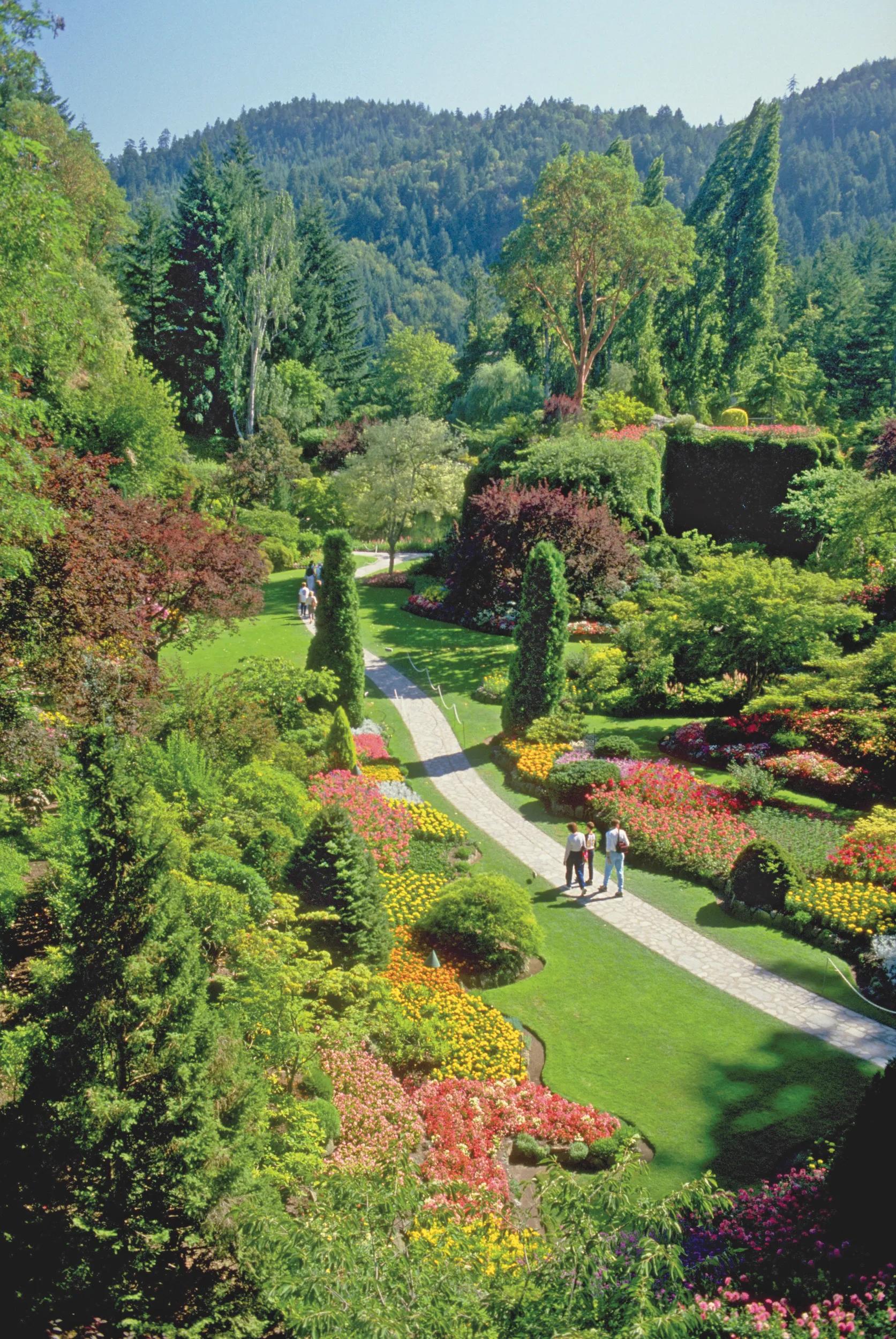 An overview of Sunken Gardens at Butchart Gardens, Victoria, B.C., Canada.
