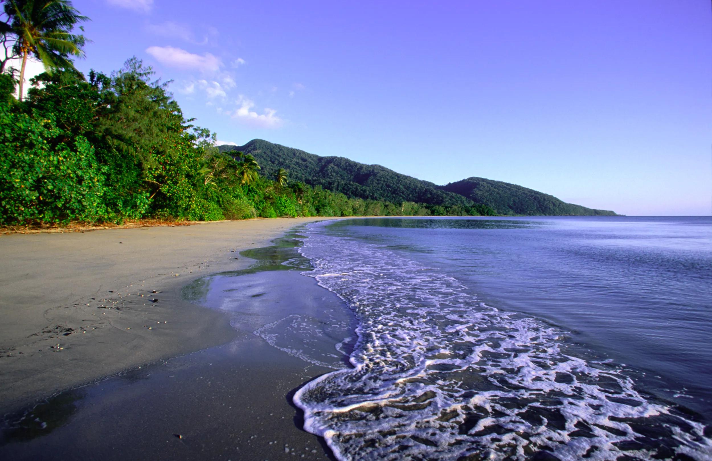Daintree National Park, Queensland, Australia, Australasia, Far North Queensland
