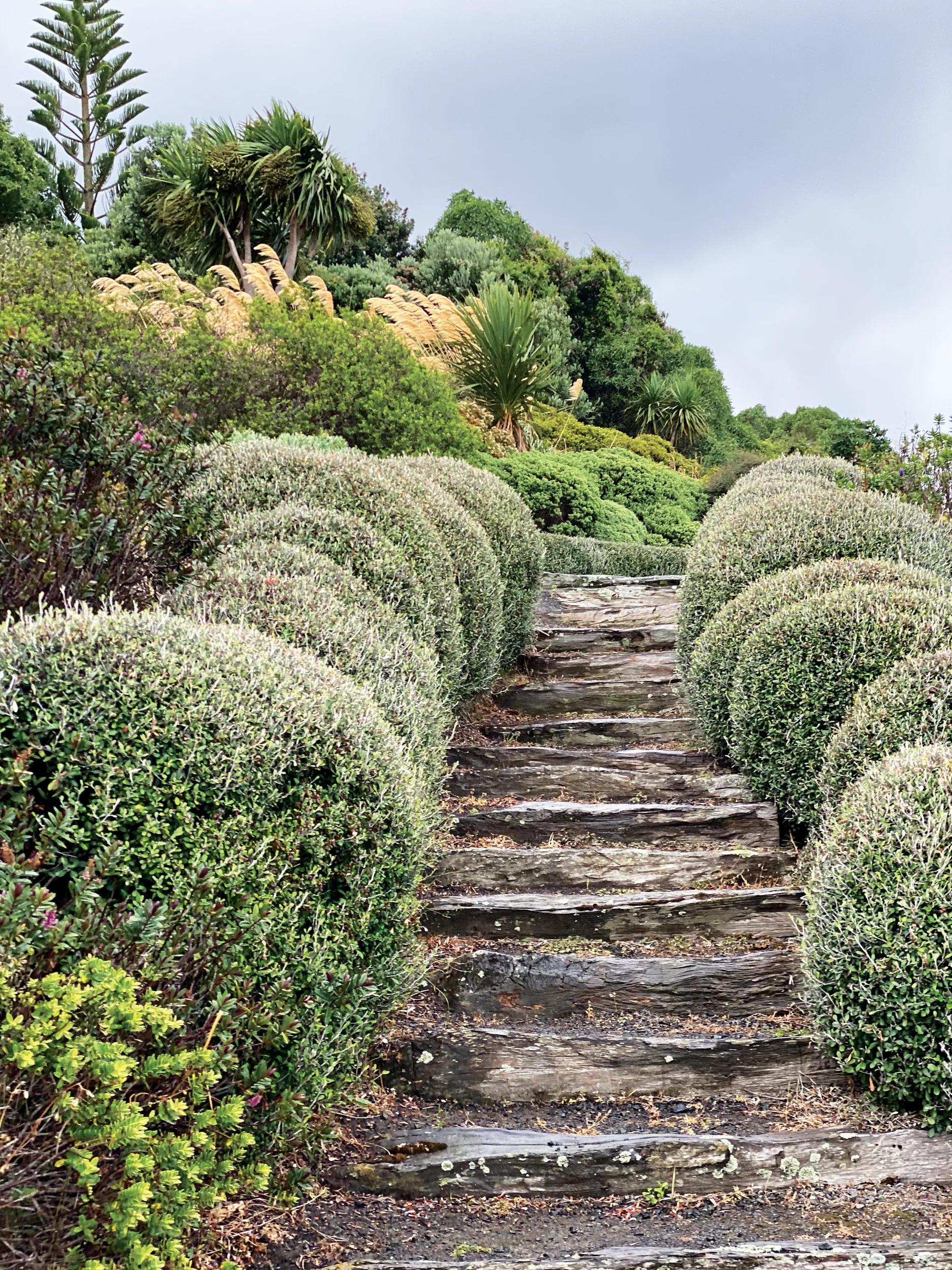 Supplied by Sandra Harman