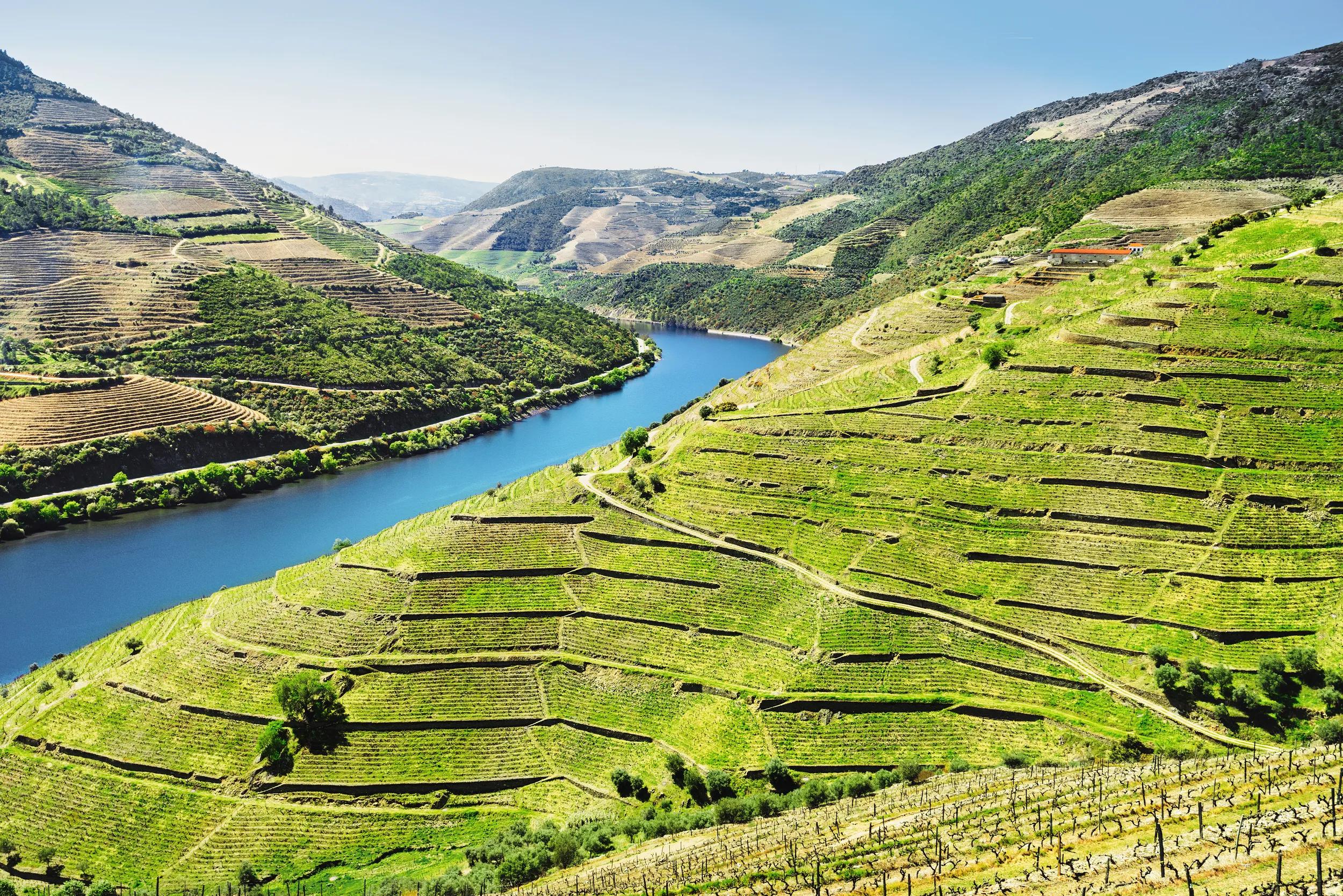 t-eu-portugal-pinhao-douro-valley-1013369230-s