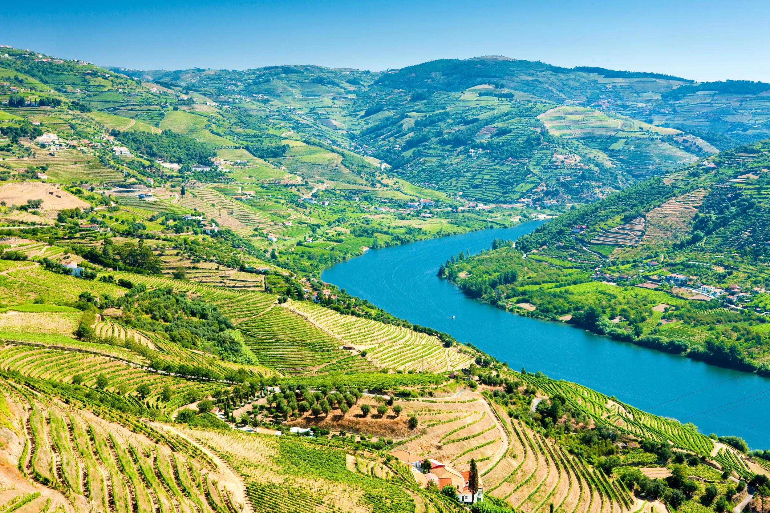 vineyars in Douro Valley, Portugal