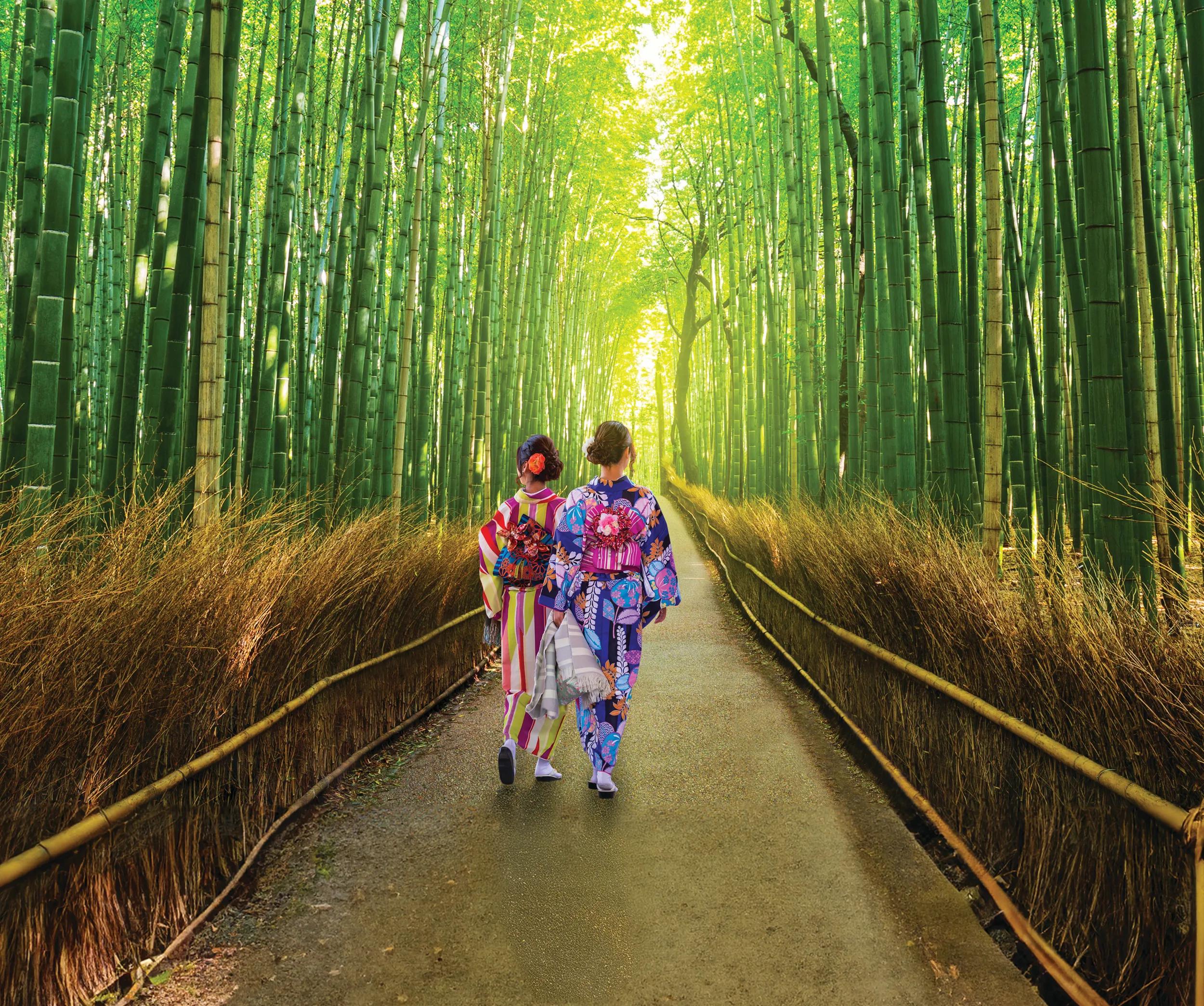 t-as-japan-kyoto-arashiyama-bamboo-grove-women-kimonos-137334370-d