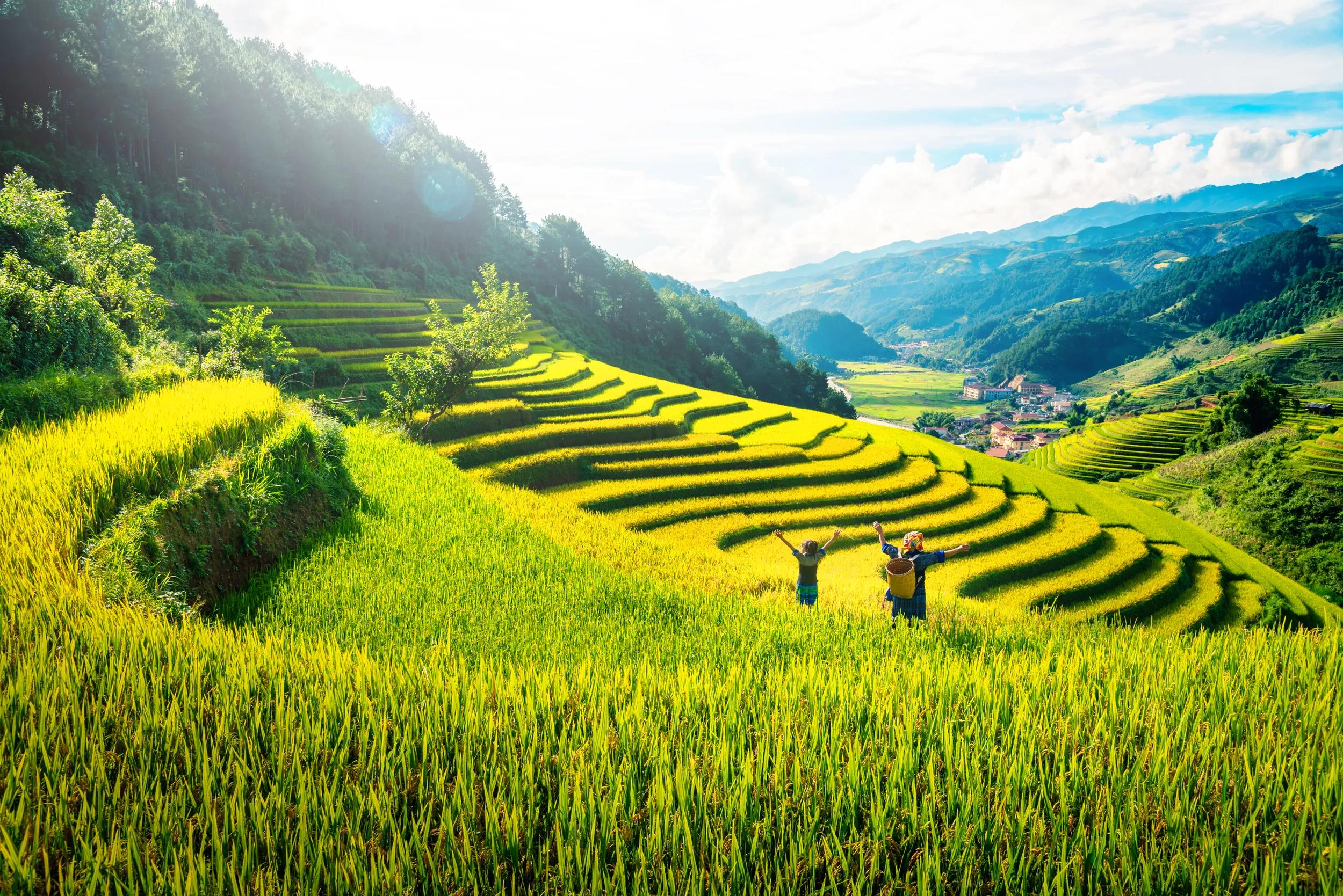 Women farmer and daughter raising arm on Rice fields terraced at sunset in Mu Cang Chai, YenBai, Vietnam.