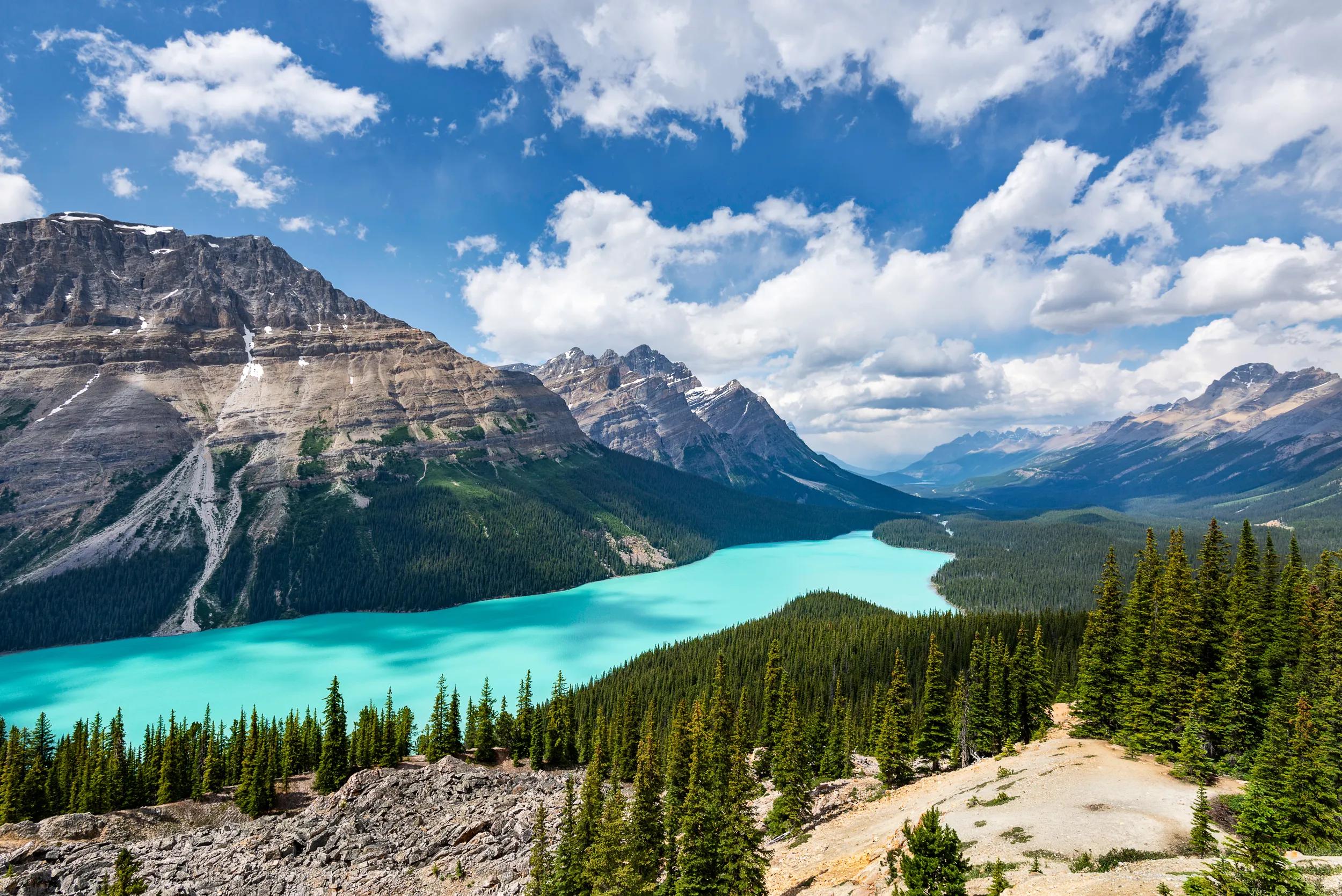 The beautiful Peyto lake in Alberta Canada.